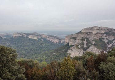 Randonnée Marche Saint-Rémy-de-Provence - Alpilles jour3 - Photo