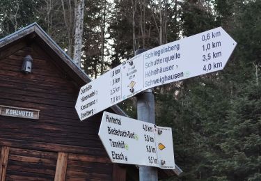 Trail On foot Biederbach - Bei der Kholhütte - Hintertal Rotzelweg - Photo