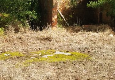 Randonnée Marche Vidauban - petite marche Aille Bérard - Photo