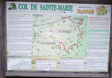Tour Wandern Markirch - Col de Ste Marie aux Mines (27/8/2020) - Photo