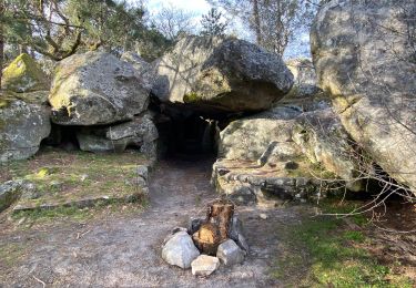 Randonnée Marche Fontainebleau - Fait TB boucle depuis maison ONF FBleau vers carrefour de Franchard et retour - Photo