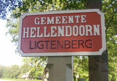 Tocht Te voet Hellendoorn - WNW Twente - Ligtenberg - paarse route - Photo