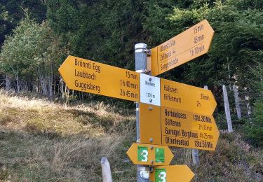 Trail On foot Guggisberg - Laubbach - Brönnti Egg - Photo