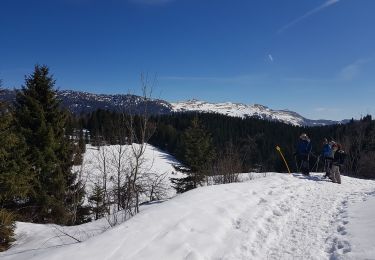 Percorso Racchette da neve Bellecombe - De La Guienette vers Le Crêt du Merle - Photo