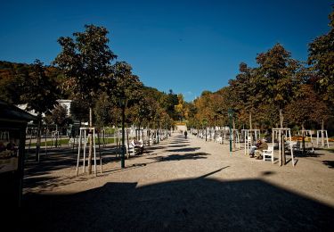 Randonnée A pied Gemeinde Baden - Baden Kurpark - Gaaden - Photo