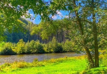 Tour Wandern Bouillon - 2024-09-15_08h33m03_Les Hayons Bouillon - Photo