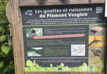 Trail Walking Rougemont-le-Château - Rougemont-le-chateau - Photo
