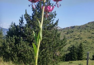 Randonnée Marche Glandage - aupillon col de grimone 7 7 2019 - Photo