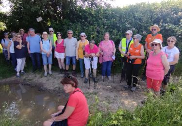 Tour Wandern Seneffe - Promenade Piedescaus Seneffe Ronce - Photo