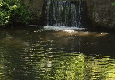 Trail Walking Jouy-en-Josas - Jouy en Josas  - Photo