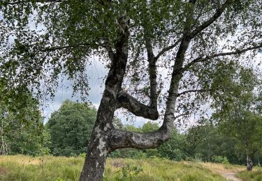 Tocht sport Maasmechelen - Maasmechelen  - Photo