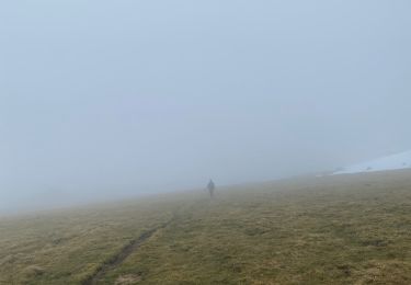 Trail Walking Lavigerie - Altaterra  - Photo