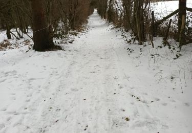 Trail Walking Sprimont - racine ter - Photo