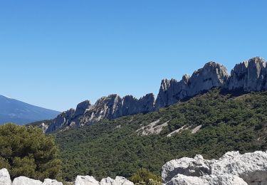 Randonnée Marche Gigondas - Gigondas Le Grand Montmirail - Photo