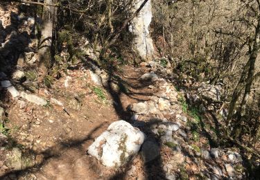 Trail Walking Aiguines - L'Imbut et retour par sentier Vidal puis par la route - Photo