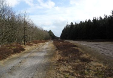 Percorso A piedi Kropp - Wanderroute 14: Ochsenweg - Sorgwohlder Binnendünen - Photo