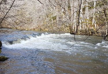 Tour Wandern Vernines - Vernines_Vallee_Sioule - Photo