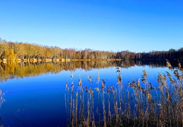 Randonnée Marche Fère-en-Tardenois - Fere en Tardenois Parc des Bruyères - Photo