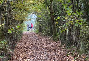 Tocht Stappen Rendeux - Hodister - Photo