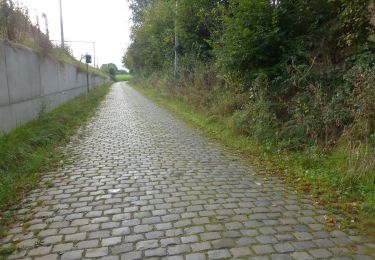 Trail On foot Leuven - Sint-Kamilluswandelpad - Photo