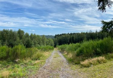 Trail Walking Viroinval - Oignies en Thierache 20,7 km - Photo