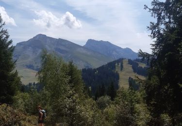 Randonnée Marche Thônes - beauregard par les frètes - Photo