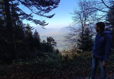 Tour Wandern Séchilienne - Lac de Luitel - Pic de l'oeilly  - Photo