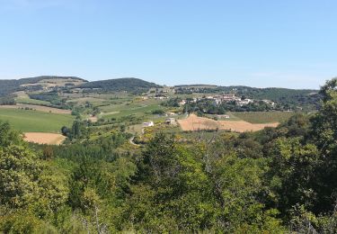 Trail Walking Rouffiac-d'Aude - montclar - Photo