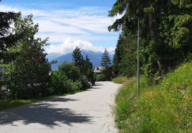 Randonnée Marche Arbaz - Anzère  - Photo