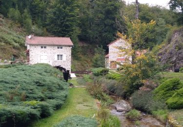 Trail Quad Vichy - rando du teux 1 - Photo