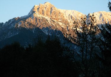 Percorso A piedi Tarvisio - Anello di Fondovalle - Photo