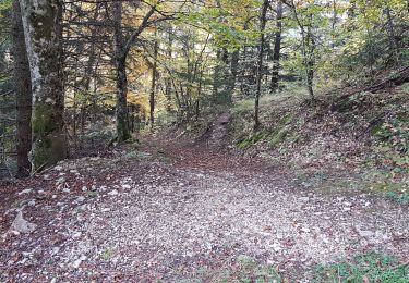 Tour Wandern Engins - boucle Molière par le pas de la Loze - Photo