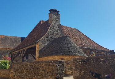 Tour Elektrofahrrad Castels et Bézenac - Dordogne- GCU Jour 3 - St Cyrien, Autrix, les Eyzies - Photo