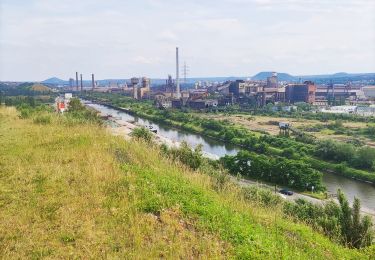 Tocht Stappen Charleroi - La Boucle Noire de Charleroi - Photo