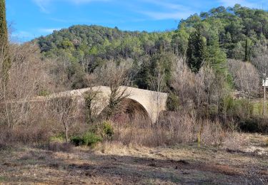 Tour Wandern Lorgues - Longues circuit des chapelles - Photo