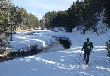 Trail Snowshoes Les Angles - 2021-02-11 Sortie CAF - Les Angles - vers les Camporells - Photo
