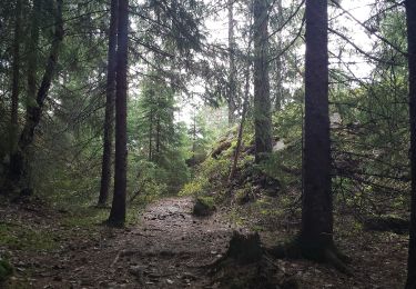 Randonnée A pied  - Folk i form løypa fra Krokhol - Photo