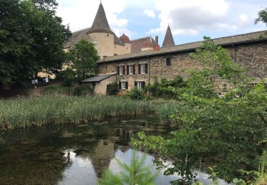 Randonnée Marche Quincié-en-Beaujolais - Quincié-En-Beaujolais (Les 3 châteaux)  - Photo