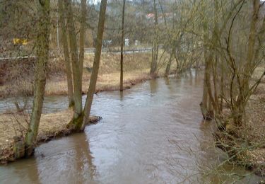 Tocht Te voet Partenstein - Ortswanderweg Partenstein 3 - Photo