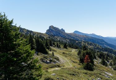 Tour Wandern Lans-en-Vercors - Rando vertige des cimes Septembre 2022 - Photo