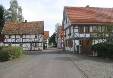 Tocht Te voet Wanfried - Premium-Rundwanderweg P12 Mainzer Köpfe - Photo