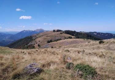 Trail Walking Herran - 2020-08-20 Arbas -  cabane de roqué pic -  de paloumère - sommet de cornudère. - Photo
