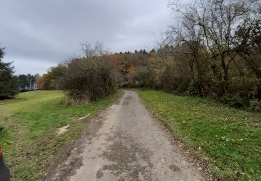 Trail Walking Ferrières - sapin de Noël - Photo