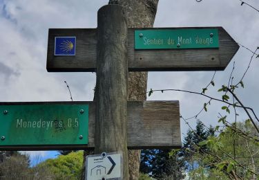 Trail Walking Queyrières - Sous le Mounier - Photo