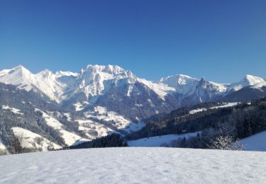 Tour Schneeschuhwandern Manigod - RIONDAZ » ORCIERE - Photo