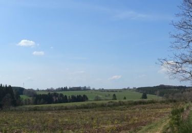 Tocht Stappen Léglise - Ebly - La Claire Fagne - Photo