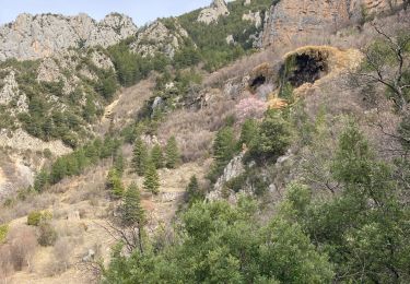 Trail Walking La Palud-sur-Verdon - La colle de l’olivier - réserve de St Maurin - Photo