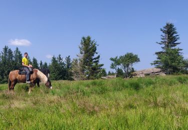 Trail Horseback riding Lutzelhouse - 2021-07-18 Journée Le petit Wisches Le Noll - Photo