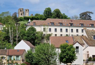 Tour Wandern Montfort-l'Amaury - Yvelines_[Rando_Journée]_Montfort=>Les Mesnuls=>Autour_de_Montfort - Tronçon 2 - Photo