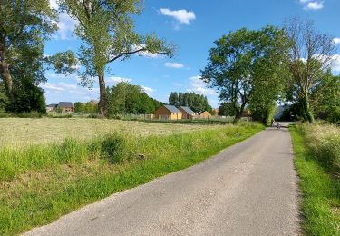 Tour Hybrid-Bike Soignies - balade en famille - Photo